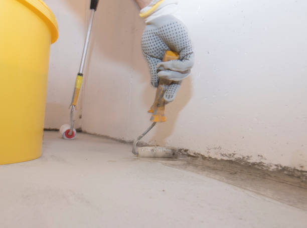 Best Pest Prevention Services  in Lake Holiday, IL